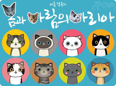 중국인이 이해못하는 한국 | 인스티즈