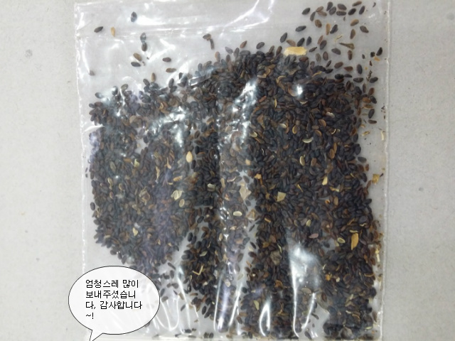 유곡슈퍼 이미지