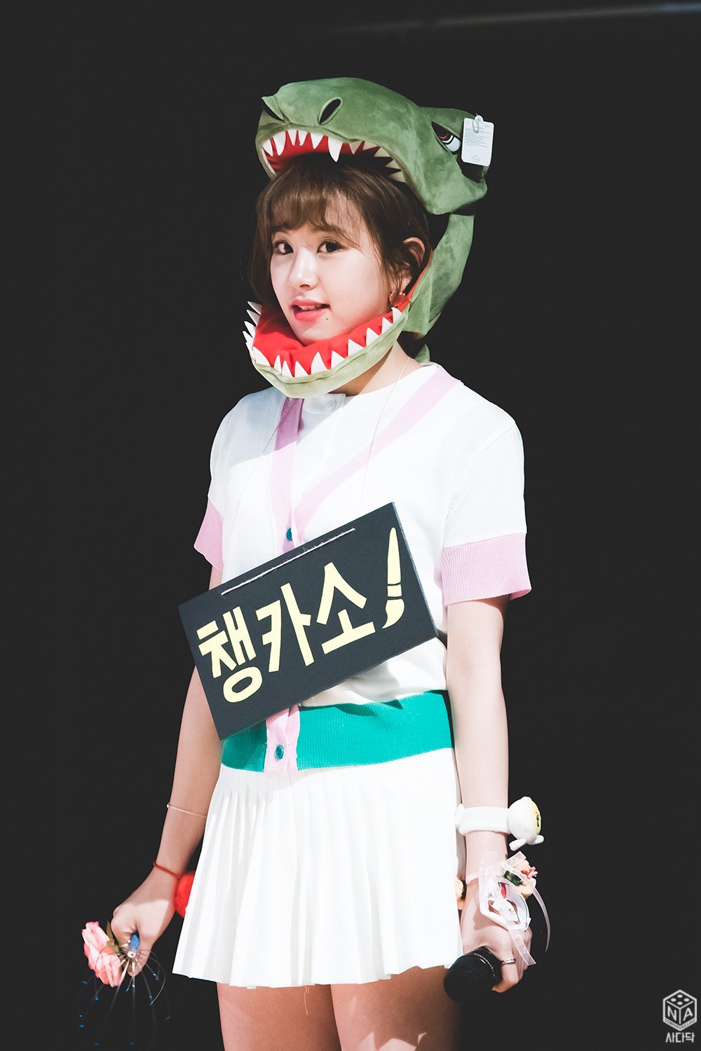 [2017] 월별 채영이 | 인스티즈