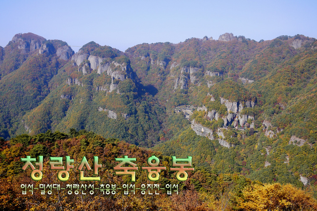 (주)동천고속관광 이미지