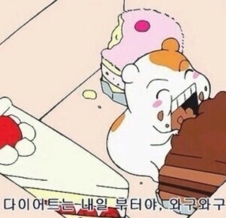 하지몰 이미지