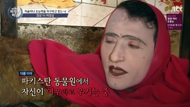 [비정상회담] 여우인간 대란 | 인스티즈
