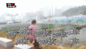 바다생물 연예인 | 인스티즈