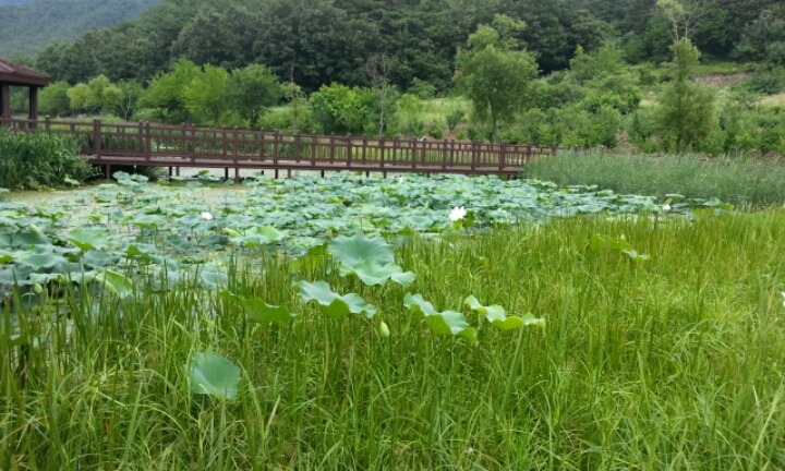 로원테크 이미지