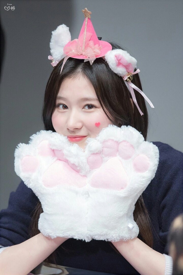 고양이 사나 | 인스티즈