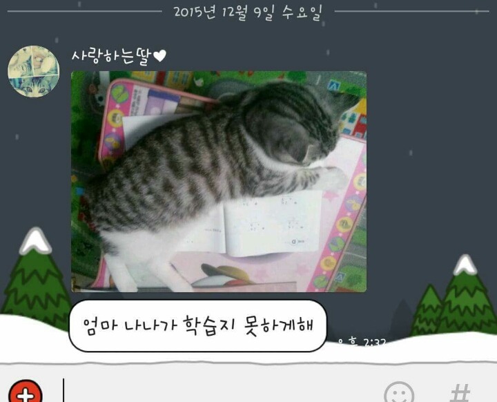 딸에게 카톡이왔다 | 인스티즈