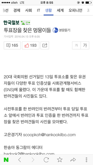 투표장을 찾은 멍뭉이들 | 인스티즈