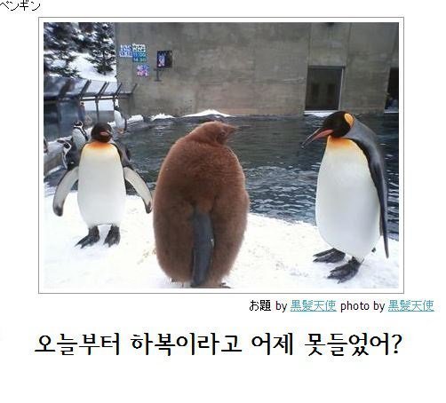 제목학원 시리즈 | 인스티즈