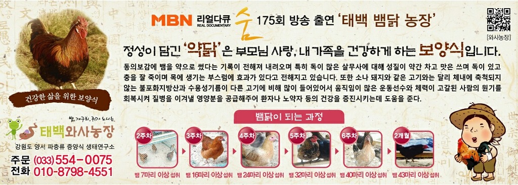 와사 이미지