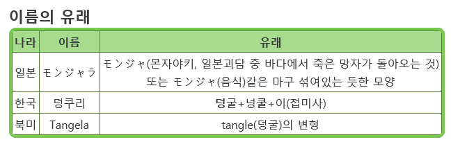  무서우면서 조금은 슬프기도 한 포켓몬 괴담 | 인스티즈