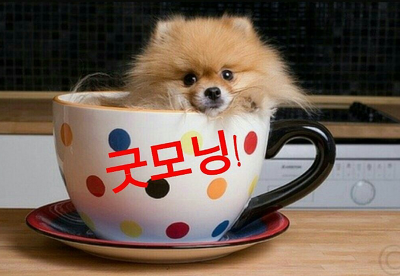 27105D455554F0411AFE3C