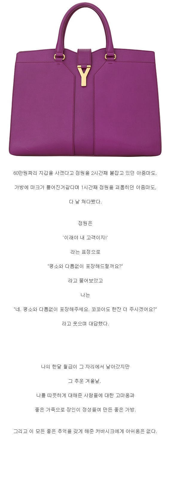 엄청난 필력을 자랑하는 광고글.jpg | 인스티즈