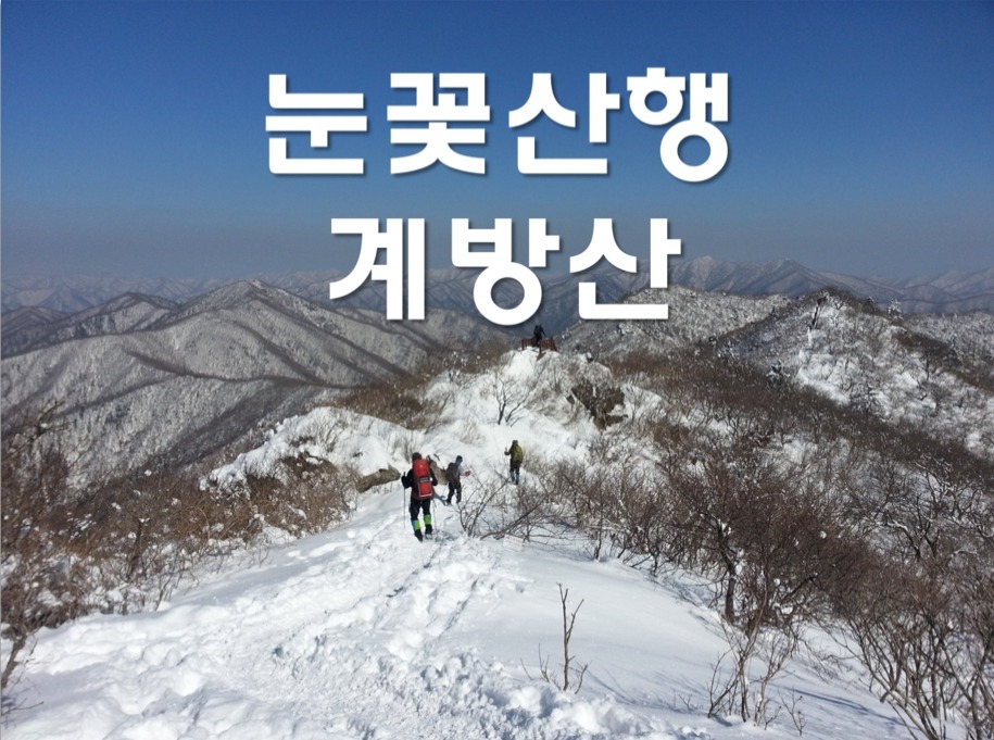 평창눈꽃 이미지