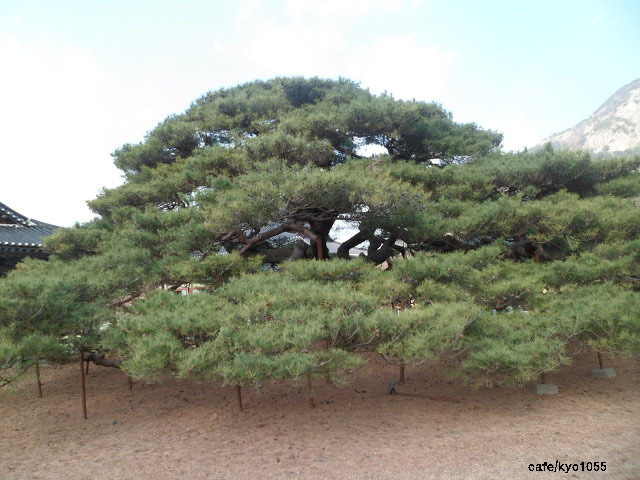 한우이야기 이미지