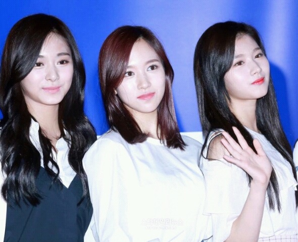 트와이스 애기들.gif | 인스티즈