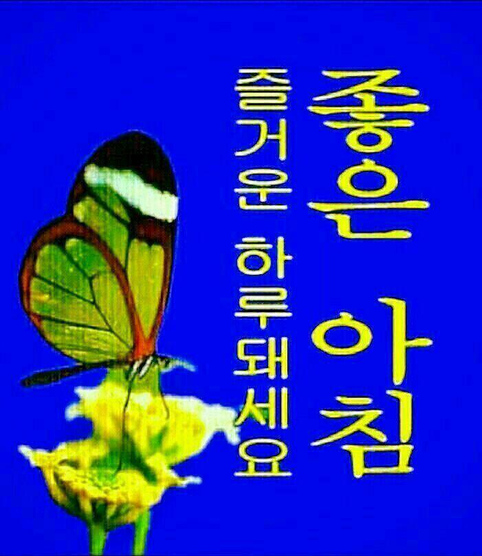 영숙이네 이미지