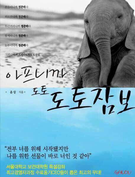 도토 이미지