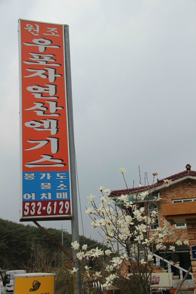 정꽃피우다 이미지
