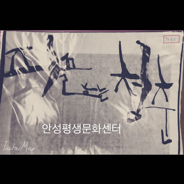 최인숙 이미지