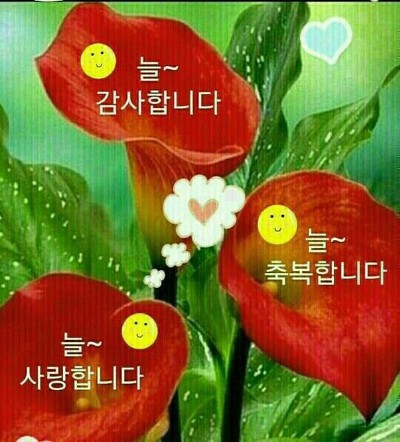 우리사 이미지