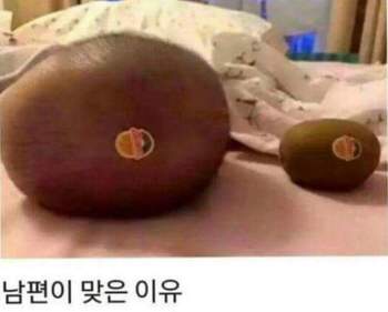 남편이 항상 쳐맞는 이유.jpg | 인스티즈