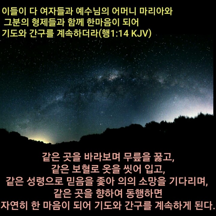 자연히 이미지