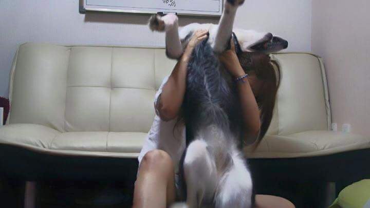 고양이 모자가 부러웠던 여자 | 인스티즈