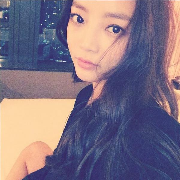 연예인들이 키우는 반려동물(반려묘) | 인스티즈