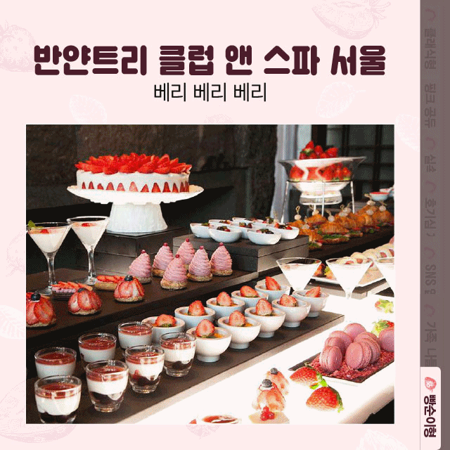 서울 시내 호텔 다 다! 7대 딸기 뷔페 핵심정리 | 인스티즈