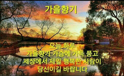 커라 이미지