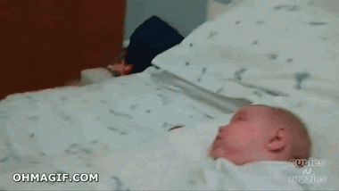 견종 별 주인 잠 깨우는 방법 | 인스티즈