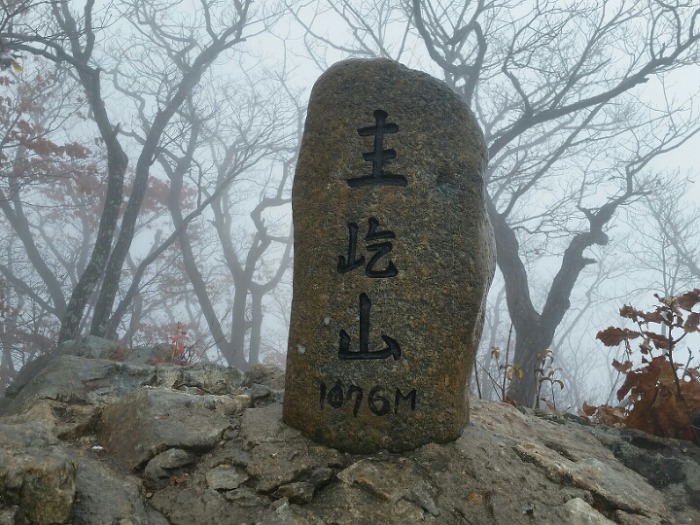 진산주 이미지