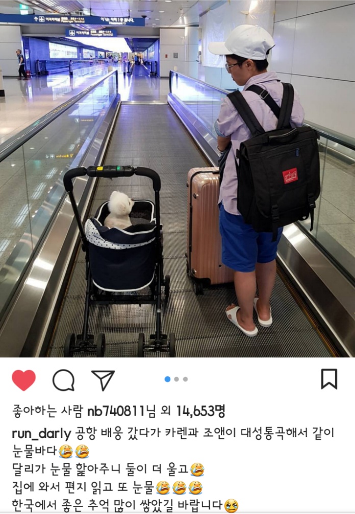 대만사람까지 꼬시고 다니는 한류 스타 강아지 달리 | 인스티즈