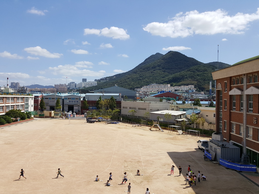 학장초등학교 이미지