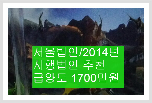태디자인기획 이미지