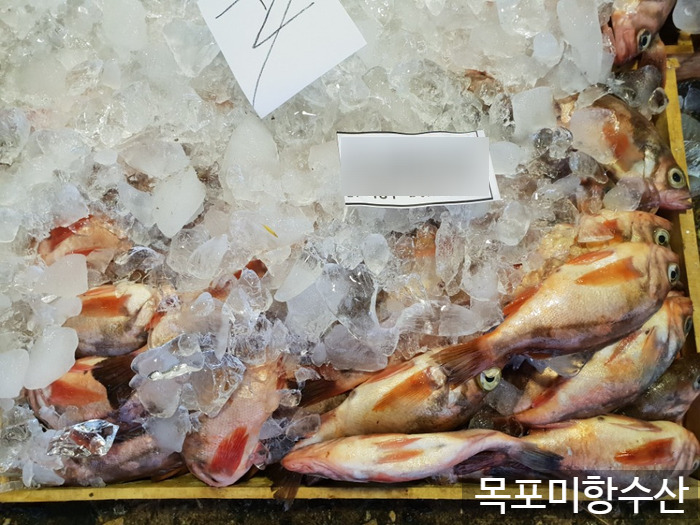 목포수산업협동조합 이미지