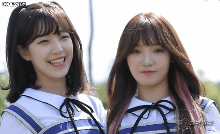 [프로미스나인] 투표날이라 두근두근해서 프로미스나인(1) | 인스티즈