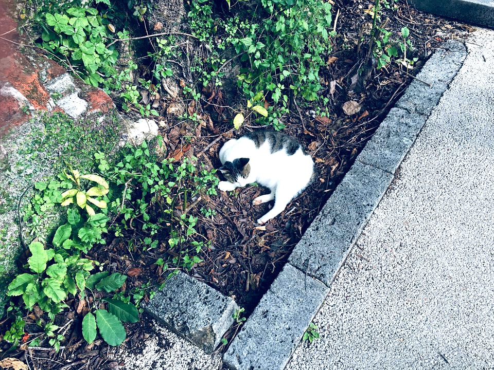 오키나와 3박4일 여행 다녀 왔습니다 | 인스티즈