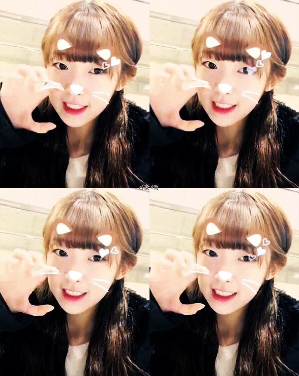 [오마이걸] 워리어스를 누가 막을 수 있을지 궁금해서 아린이 | 인스티즈