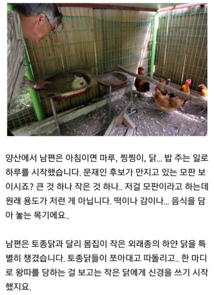 자연과 모든 동식물을 사랑하시는 문재인 대통령 일화 | 인스티즈