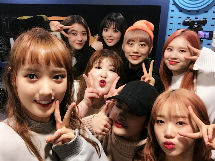 위미 이미지