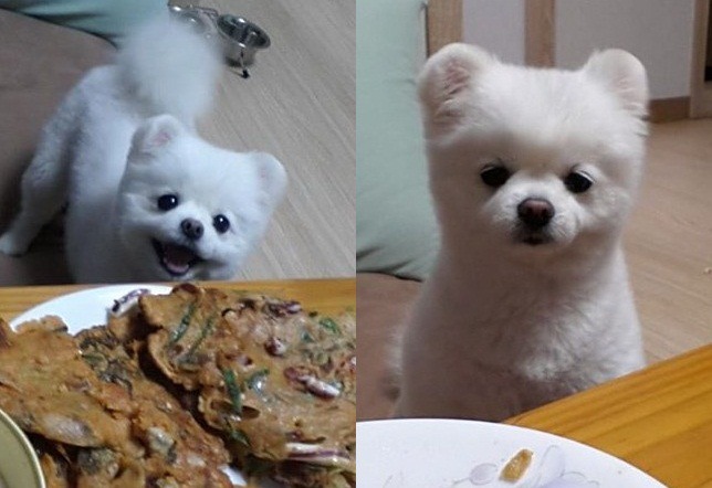 달리 이미지