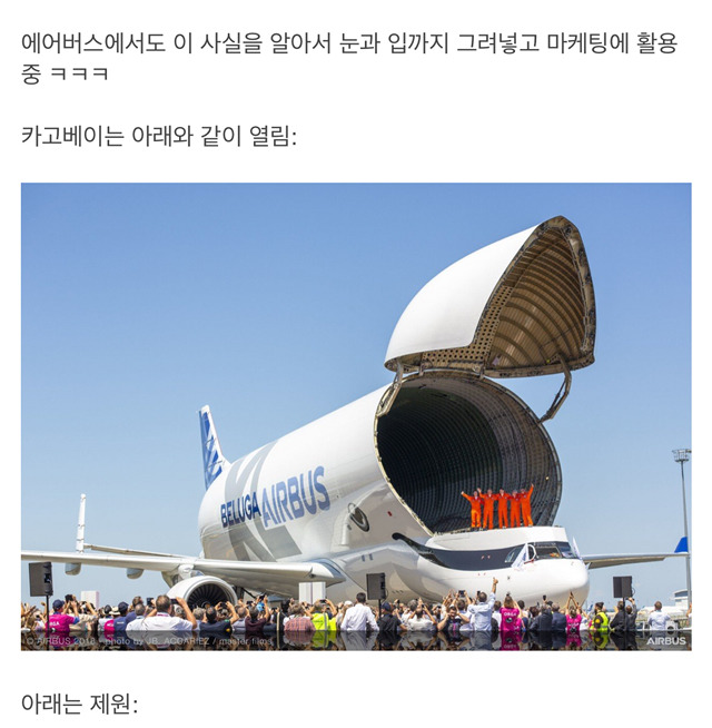 항공계의 최강귀요미.jpg | 인스티즈