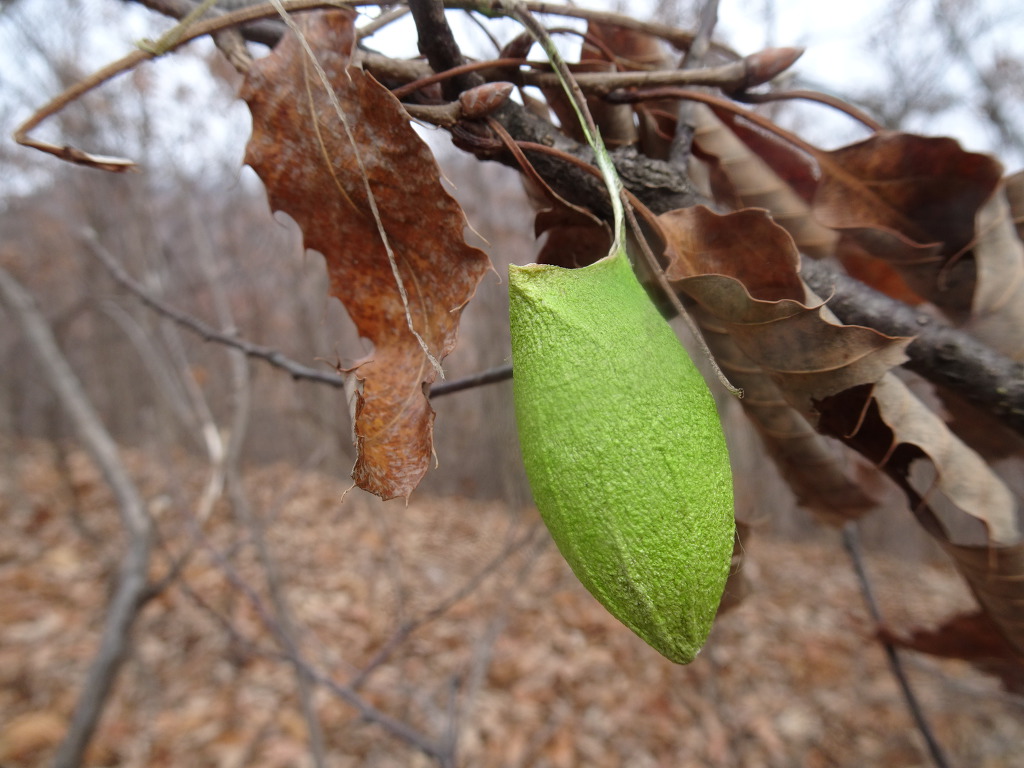 구천봉 이미지