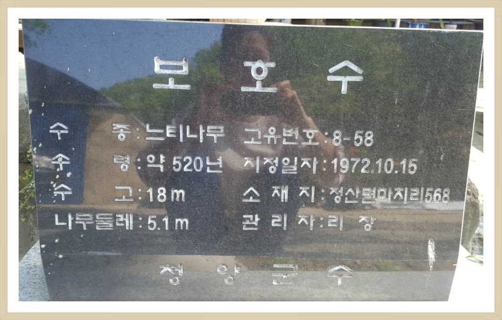 당산 정산 이미지