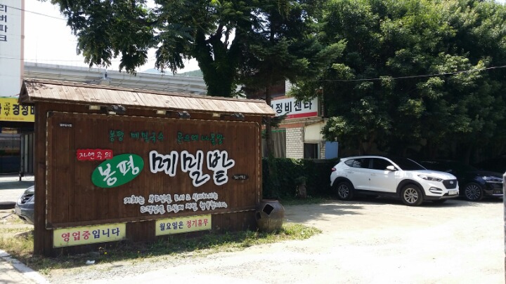봉평메밀밭 이미지