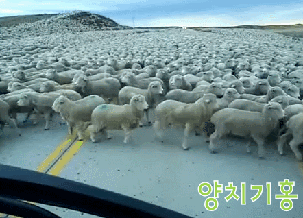 인천 유명한 동네 분식집 클라스 jpg | 인스티즈
