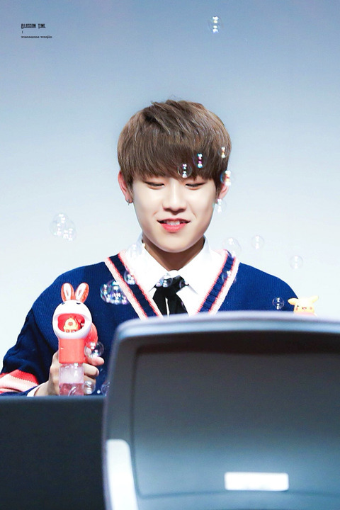 참우진 이미지