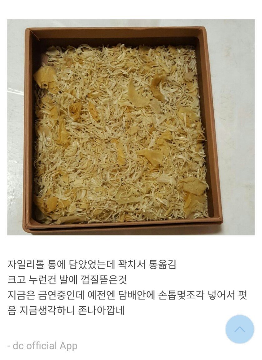 손발톱 모으는 디씨인 | 인스티즈