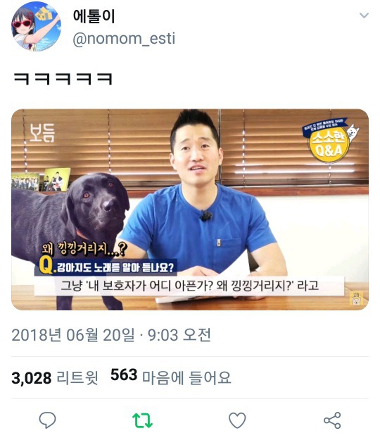 강아지도 노래를 알아듣나요? | 인스티즈